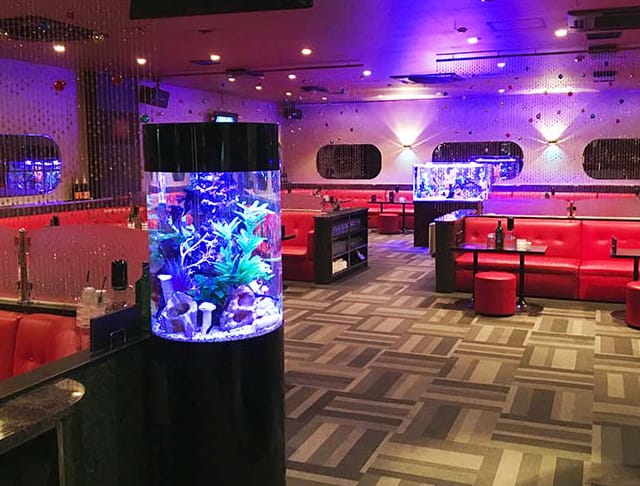リップスティック(溝の口キャバクラ)のバイト求人・体験入店情報Photo3