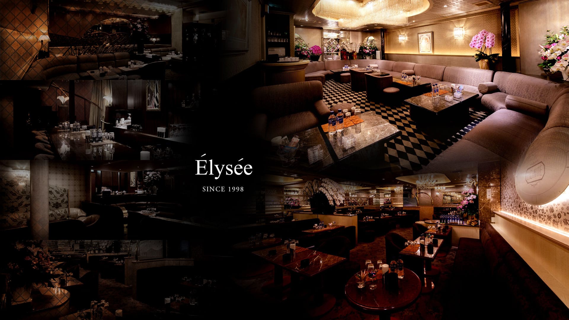 Elysee~エリゼ~ 六本木 キャバクラ TOP画像