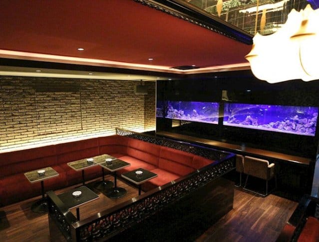 Vellugue(ヴェルージュ)(西船橋キャバクラ)のバイト求人・体験入店情報Photo3