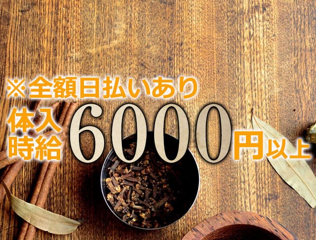 ドリュアス(大宮キャバクラ)のバイト求人・体験入店情報Photo3