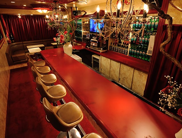 プチクラViVi(高円寺キャバクラ)のバイト求人・体験入店情報Photo1