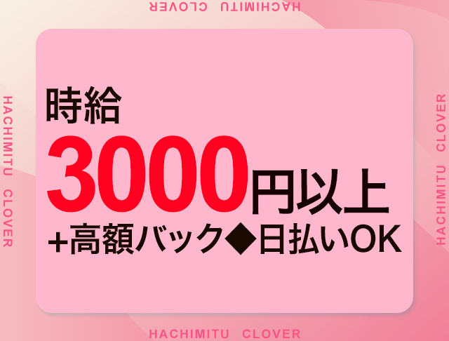 はちみつくろーばー(池袋キャバクラ)のバイト求人・体験入店情報Photo3