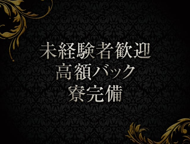 DEVOCION(ディヴォーション)【公式求人情報】(歌舞伎町キャバクラ)のバイト求人・体験入店情報Photo3