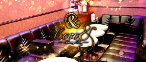 Coco&Luxury Bar(ココアンドラグジュアリーバー)【公式求人情報】(歌舞伎町)のボーイ・男性求人