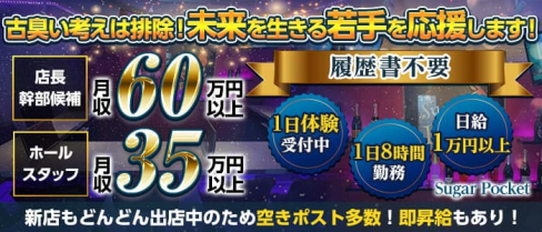 Girls Bar Sugar Pocket(シュガーポケット)【公式求人・体入情報】(新橋)のボーイ・男性求人