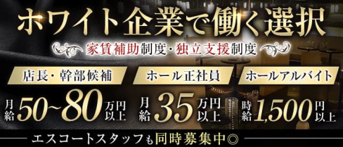 株式会社SEコンサルティング【公式男性求人情報】(歌舞伎町)のボーイ・男性求人