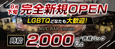 MIX BAR cocoro(ココロ)【公式男性求人情報】(南浦和)のボーイ・男性求人