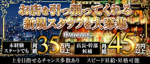 Dracaena(ドラセナ)【公式求人・体入情報】(六本木)のボーイ・男性求人