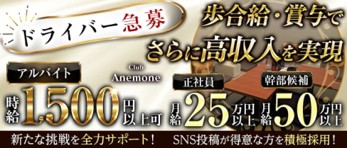Club Anemone(アネモネ)【公式男性求人】(倉敷)のボーイ・男性求人