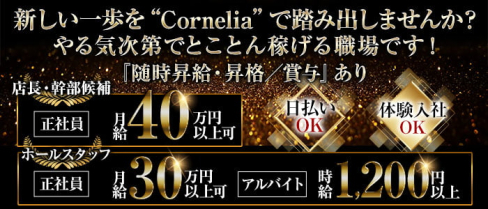 Cornelia(コーネリア)【公式男性求人情報】(松山)のボーイ・男性求人