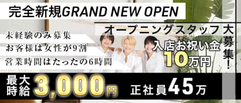 Stylish Bar ONE【公式男性求人】(歌舞伎町)のボーイ・男性求人