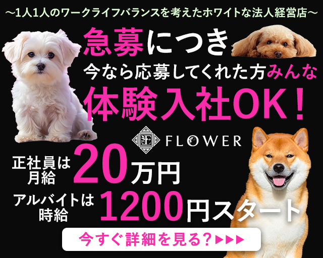 FLOWER（フラワー）のキャバクラボーイ・黒服求人