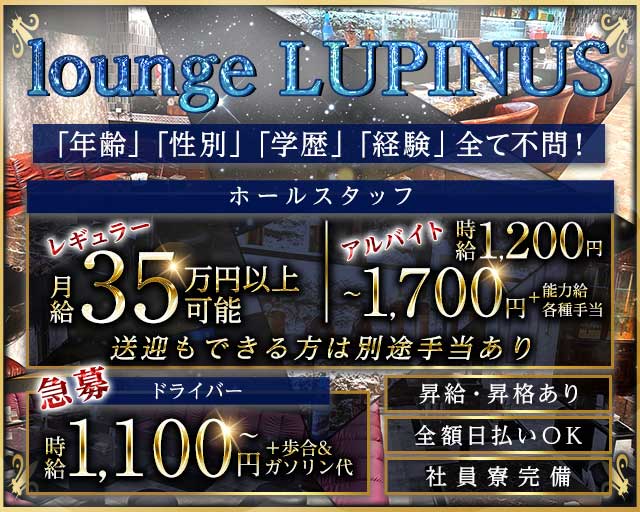 LUPINUS（ルピナス）のラウンジボーイ・黒服求人