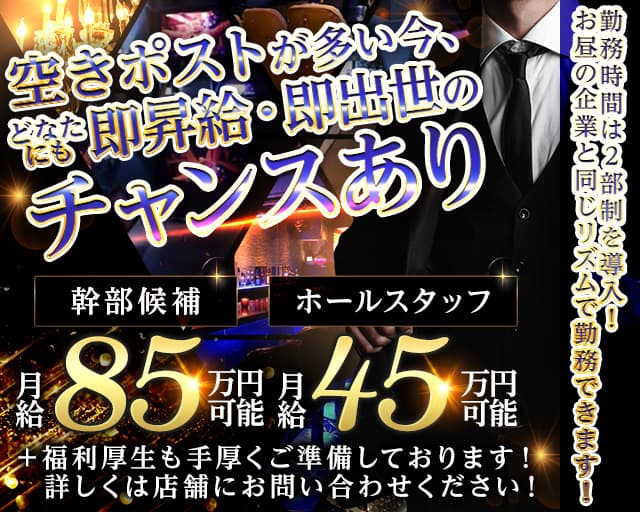 【六本木】【朝・昼・夜】会員制 THE BEAUTY（ザビューティー）のガールズバーボーイ・黒服求人