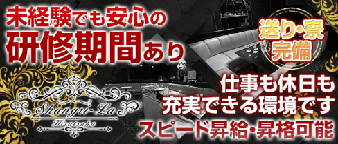 Shangri-La~シャングリ・ラ~【公式求人情報】(平塚)のキャバクラボーイ・男性求人情報