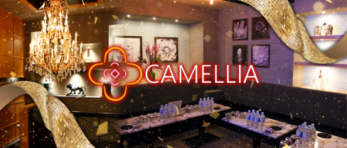 CAMELLIA(カメリア)【公式男性求人情報】(流川)のボーイ・男性求人