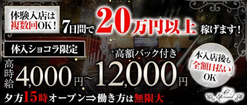 Eternal(エターナル)【公式求人・体入情報】(川崎キャバクラ)の求人・体験入店情報