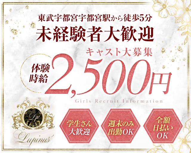 Lupinus'（ルピナス）のスナック体入