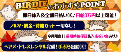 CLUB BIRDIE (バーディー)【公式求人情報】(西船橋キャバクラ)の求人・バイト・体験入店情報