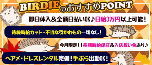 CLUB BIRDIE (バーディー)【公式求人情報】(西船橋キャバクラ)の求人・バイト・体験入店情報
