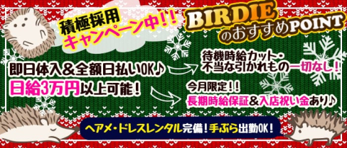 CLUB BIRDIE (バーディー)【公式求人情報】(西船橋キャバクラ)の求人・体験入店情報