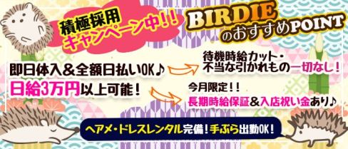 CLUB BIRDIE (バーディー)【公式求人情報】(西船橋キャバクラ)の求人・体験入店情報
