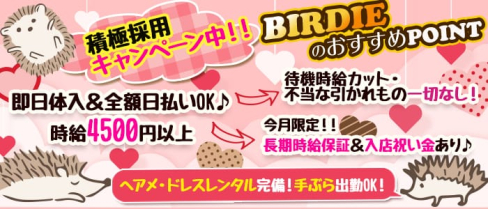 CLUB BIRDIE (バーディー)【公式求人情報】(西船橋キャバクラ)の求人・体験入店情報