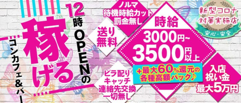コンカフェ&バー パピヨン【公式出稼ぎ求人情報】(錦糸町ガールズバー)の求人・バイト・体験入店情報
