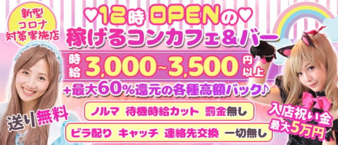 コンカフェ&バー パピヨン【公式求人・体入情報】(錦糸町ガールズバー)の求人・体験入店情報