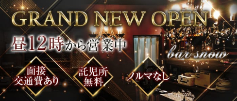 bar snow(スノー)【公式求人情報】(北新地ガールズバー)の求人・体験入店情報
