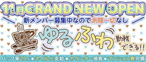 bar snow(スノー)【公式求人情報】(北新地ガールズバー)の求人・体験入店情報