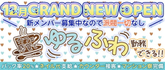 bar snow(スノー)【公式求人・体入情報】(北新地ガールズバー)の求人・体験入店情報