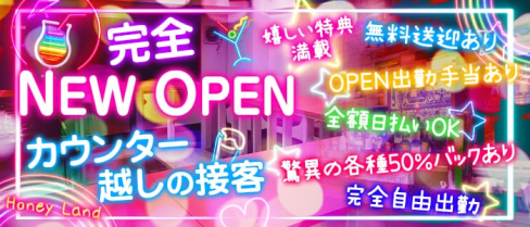 Honey Land(ハニーランド)【公式求人情報】(本厚木ガールズバー)の求人・バイト・体験入店情報