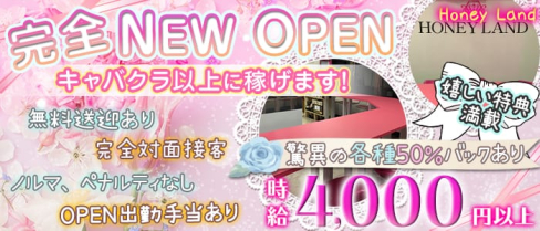 Honey Land(ハニーランド)【公式求人情報】(本厚木ガールズバー)の求人・体験入店情報