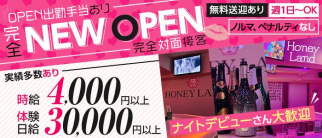 Honey Land(ハニーランド)【公式体入・求人情報】(本厚木ガールズバー)の求人・体験入店情報