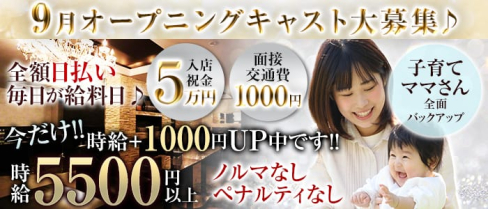 【朝・昼・夕】TRUST(トラスト)【公式求人情報】(歌舞伎町昼キャバ・朝キャバ)の求人・体験入店情報