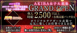 Girlsカフェ&Bar AYG(AkihabaraYellGirl)【公式求人・体入情報】(秋葉原ガールズバー)の求人・体験入店情報