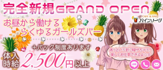 Cafe&Bar パインソーダ【公式体入・求人情報】(関内ガールズバー)の求人・体験入店情報