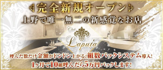 Club LAPUTA(ラピュタ)【公式求人・体入情報】(上野スナック)の求人・体験入店情報