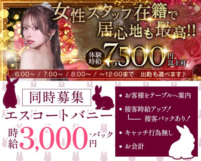 revju（レヴュー）の求人情報