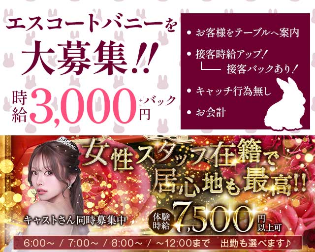 revju（レヴュー）の求人情報