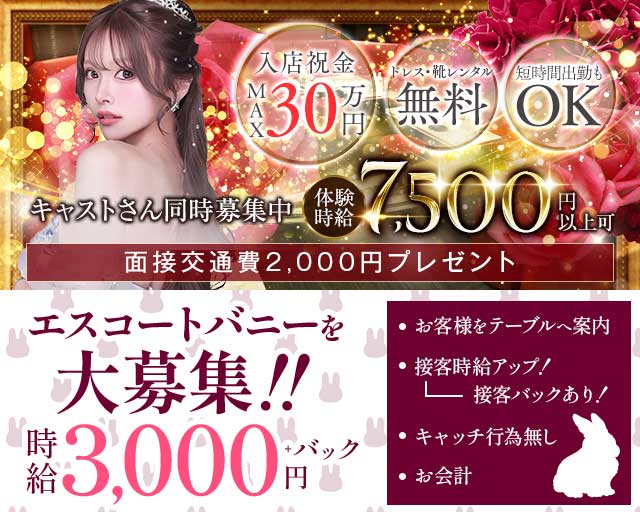 revju（レヴュー）の求人情報