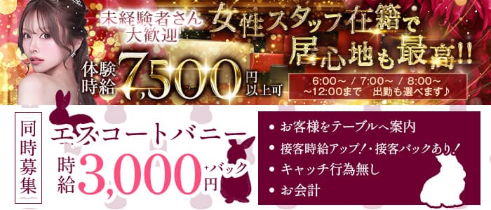 【朝】GUEST（ゲスト）(歌舞伎町昼キャバ・朝キャバ)の求人・体験入店情報