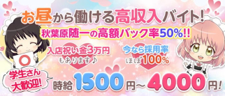 コンカフェ 絶対×カノジョ【公式求人・体入情報】(秋葉原ガールズバー)の求人・体験入店情報