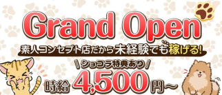 Girlscafe&Bar MINT-ミント-【公式求人・体入情報】(高円寺ガールズバー)の求人・体験入店情報
