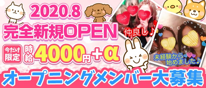 ガールズバー Warp ワープ 公式求人 体入情報 鶴見 ガールズバー 公式求人 ガールズバーバイトなら 体入ショコラ