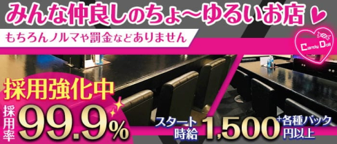 Candy Doll(キャンディドール)【公式求人・体入情報】(堺東ガールズバー)の求人・体験入店情報