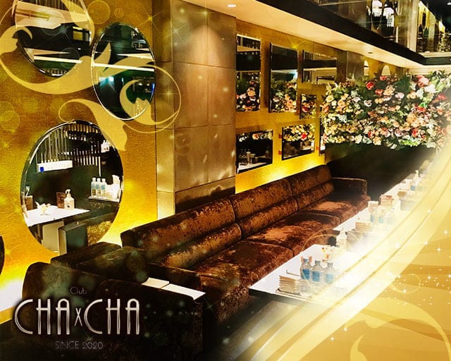 Club Cha Cha チャチャ 公式求人 体入情報 難波 キャバクラ 公式求人 キャバクラ求人なら 体入ショコラ Club Cha Cha チャチャ 公式求人 体入情報 難波 キャバクラ 公式求人 キャバクラ求人なら 体入ショコラ