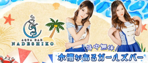 AquaBar NADESHIKO(ナデシコ)【公式求人・体入情報】(中洲ガールズバー)の求人・体験入店情報