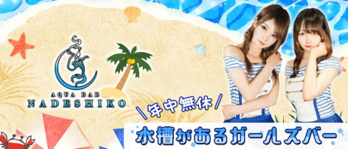 AquaBar NADESHIKO(ナデシコ)【公式求人・体入情報】(中洲ガールズバー)の求人・体験入店情報